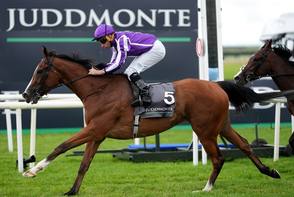 Racing Round-Up: Lifeplan Strikes in the Gimcrack – Key Success for Declan Carroll and Zak Wheatley